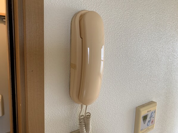 ラフィーネ田寺東の物件内観写真